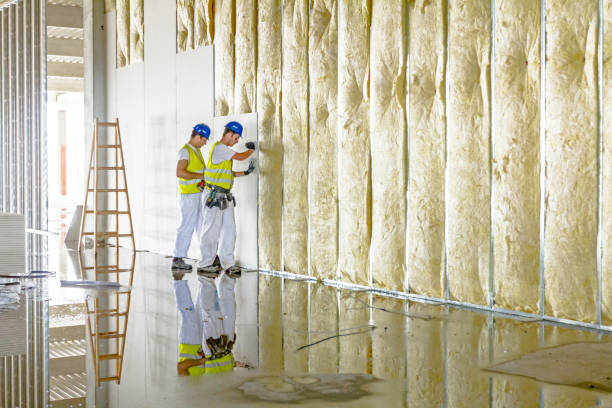 Best Specialized Insulation Services in Crab Orchard, WV